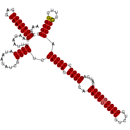 secondary structure