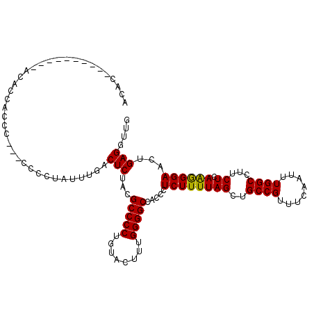 secondary structure