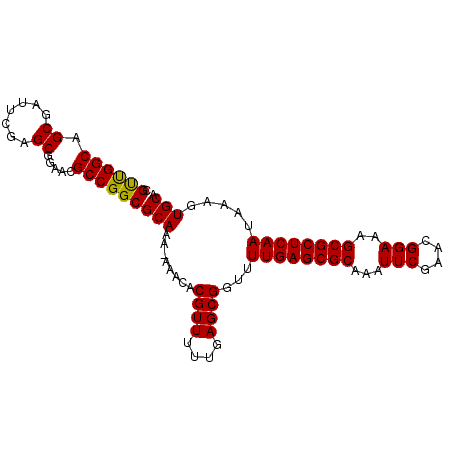 secondary structure