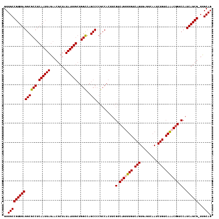 dotplot