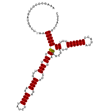 secondary structure