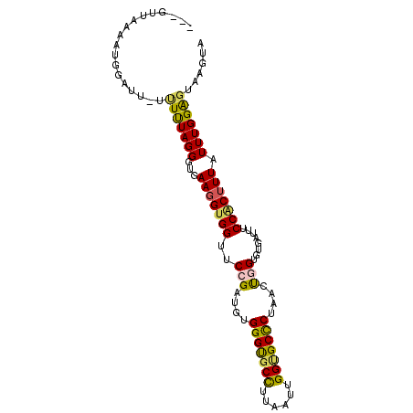 secondary structure