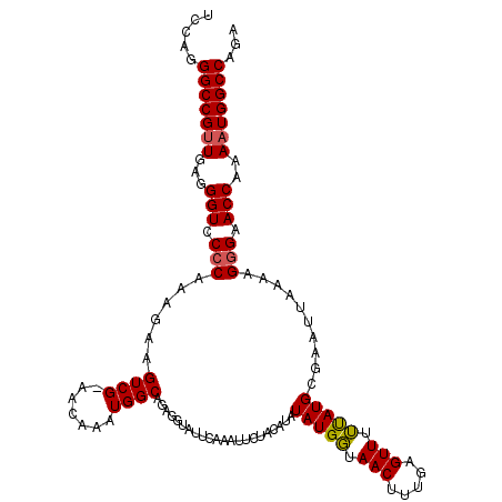 secondary structure