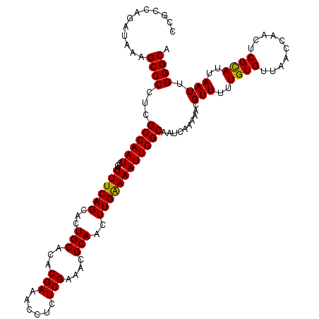 secondary structure