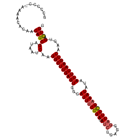 secondary structure