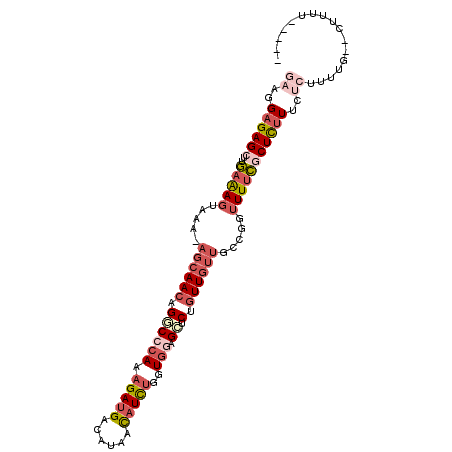 secondary structure