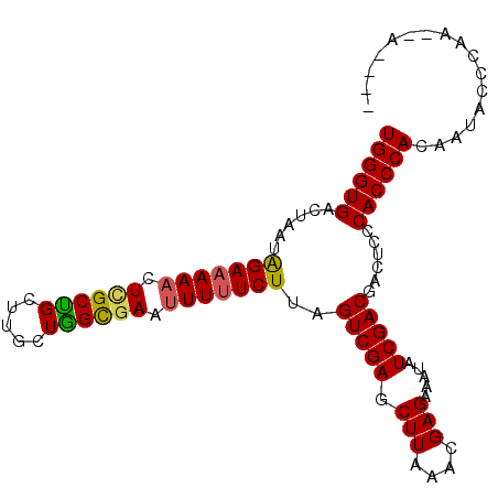 secondary structure