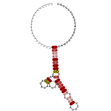 secondary structure