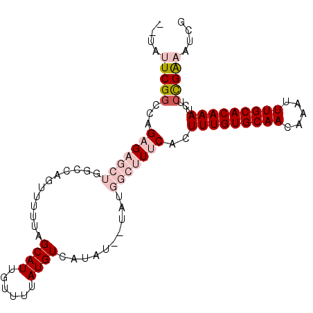 secondary structure
