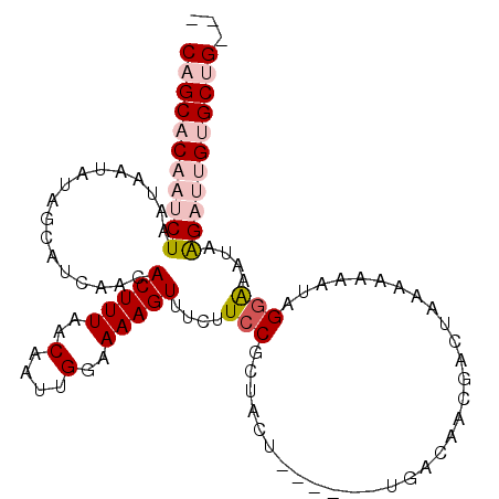 secondary structure