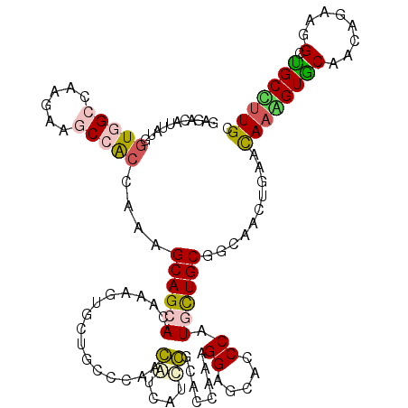 secondary structure
