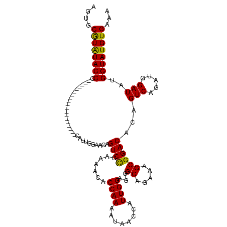 secondary structure