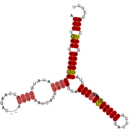secondary structure