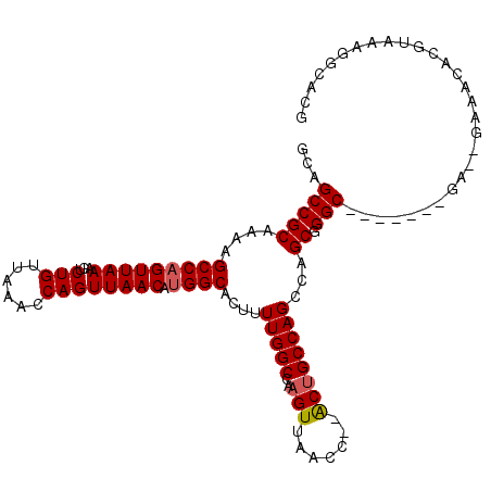 secondary structure