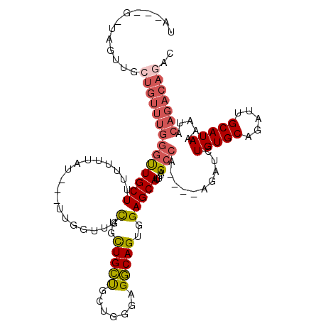secondary structure