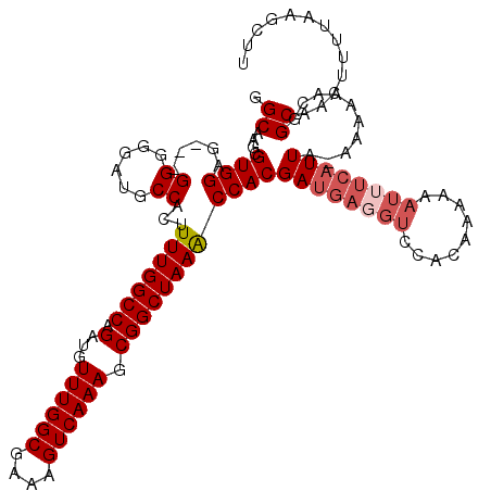 secondary structure