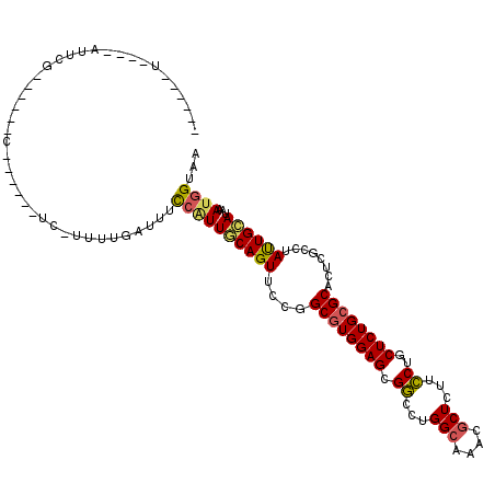 secondary structure