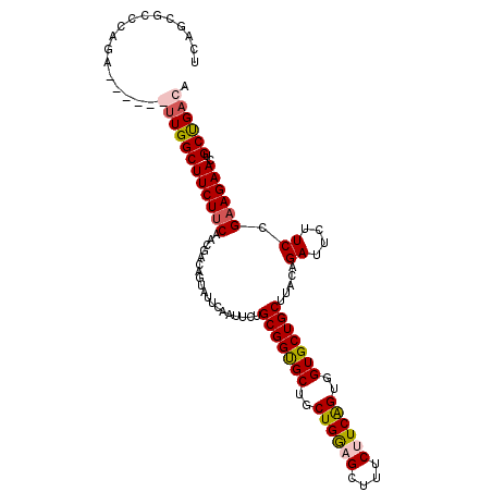 secondary structure