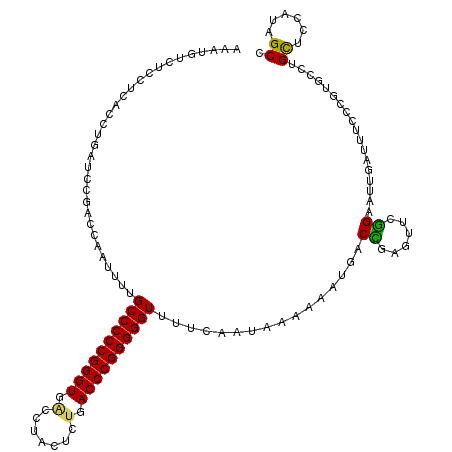 secondary structure