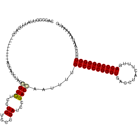 secondary structure