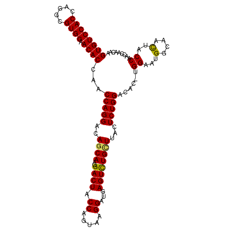 secondary structure