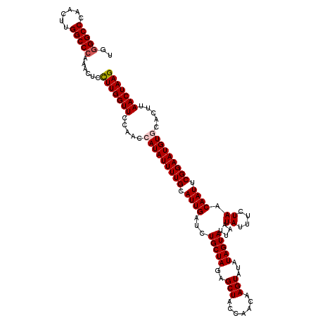 secondary structure