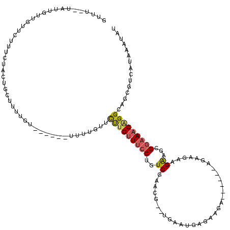 secondary structure