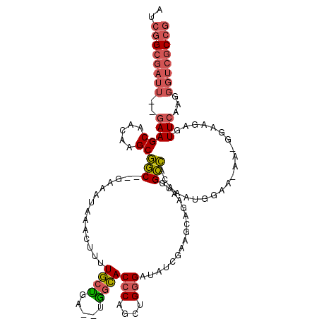 secondary structure