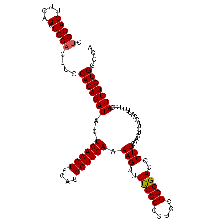 secondary structure
