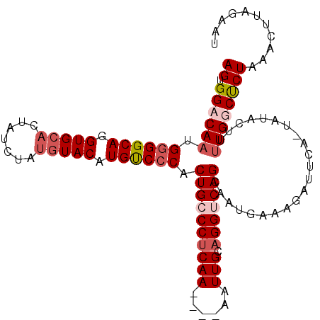 secondary structure