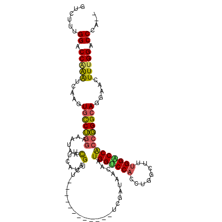 secondary structure