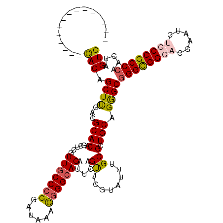 secondary structure