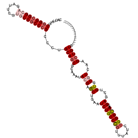 secondary structure