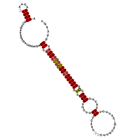 secondary structure