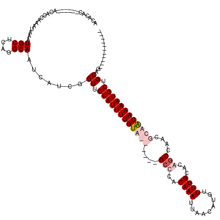 secondary structure