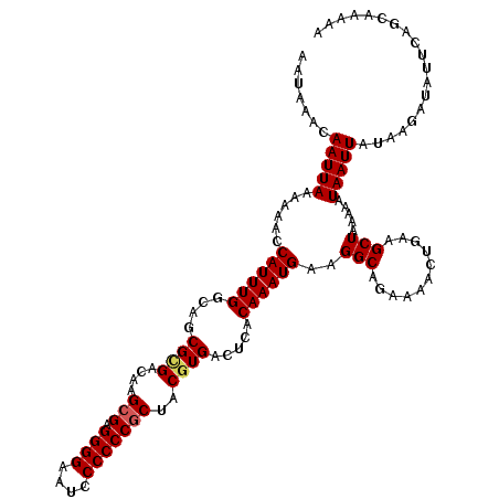 secondary structure