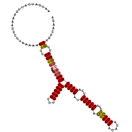secondary structure