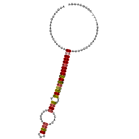 secondary structure