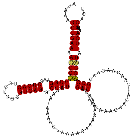 secondary structure