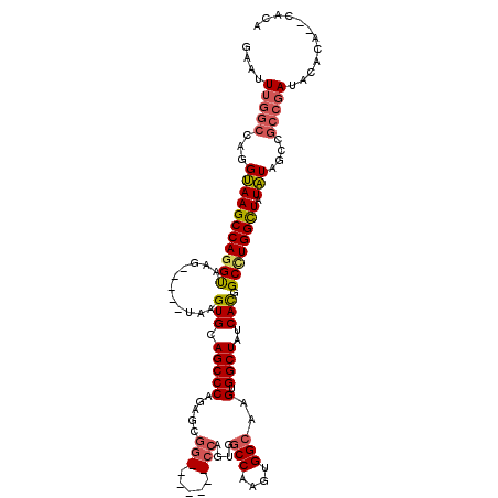 secondary structure
