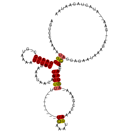 secondary structure