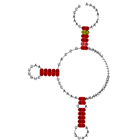 secondary structure