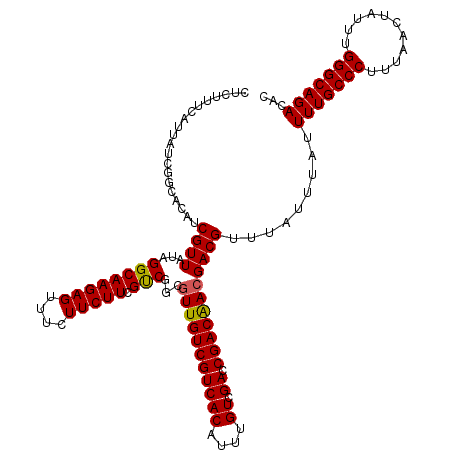 secondary structure