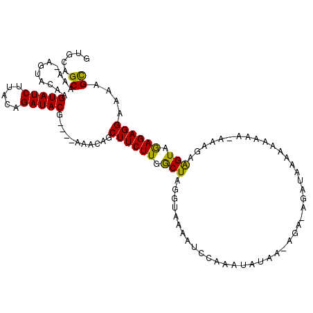 secondary structure