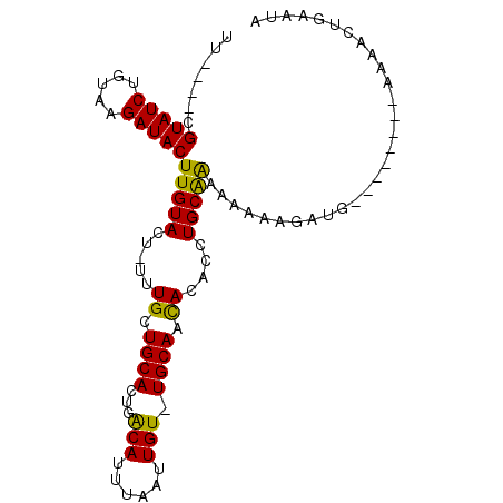 secondary structure