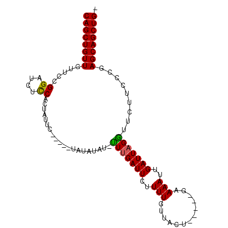 secondary structure