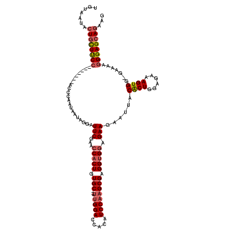 secondary structure