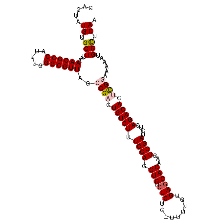 secondary structure