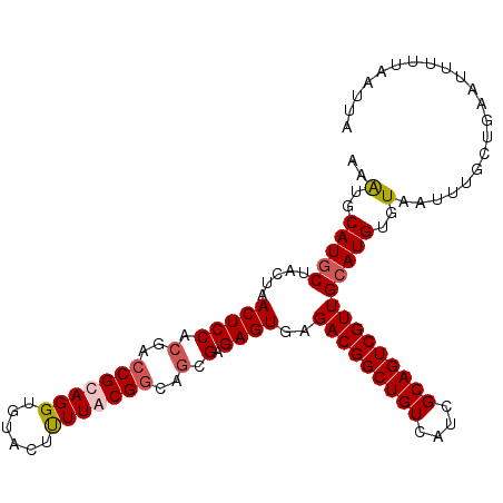 secondary structure