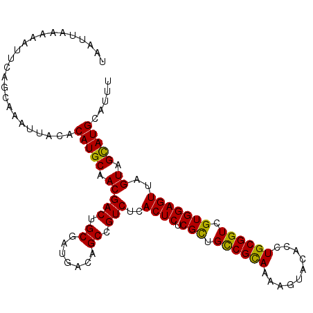 secondary structure